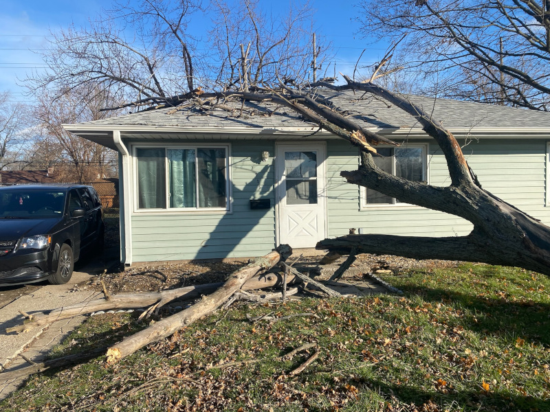 emergency tree removal; will insurance cover a tree falling on my house; fallen trees; tree fall on house; falling trees